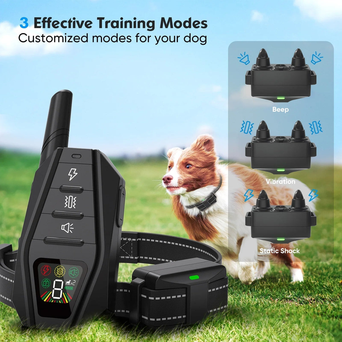 Elektronisches Hundetrainingshalsband – Anti-Bell sowie Lange Reichweite