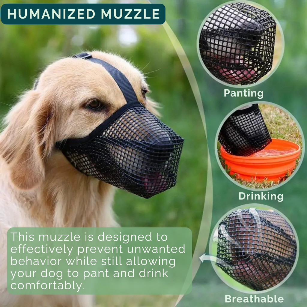 AirMesh Maulkorb – Weich sowie Bequem für Hunde