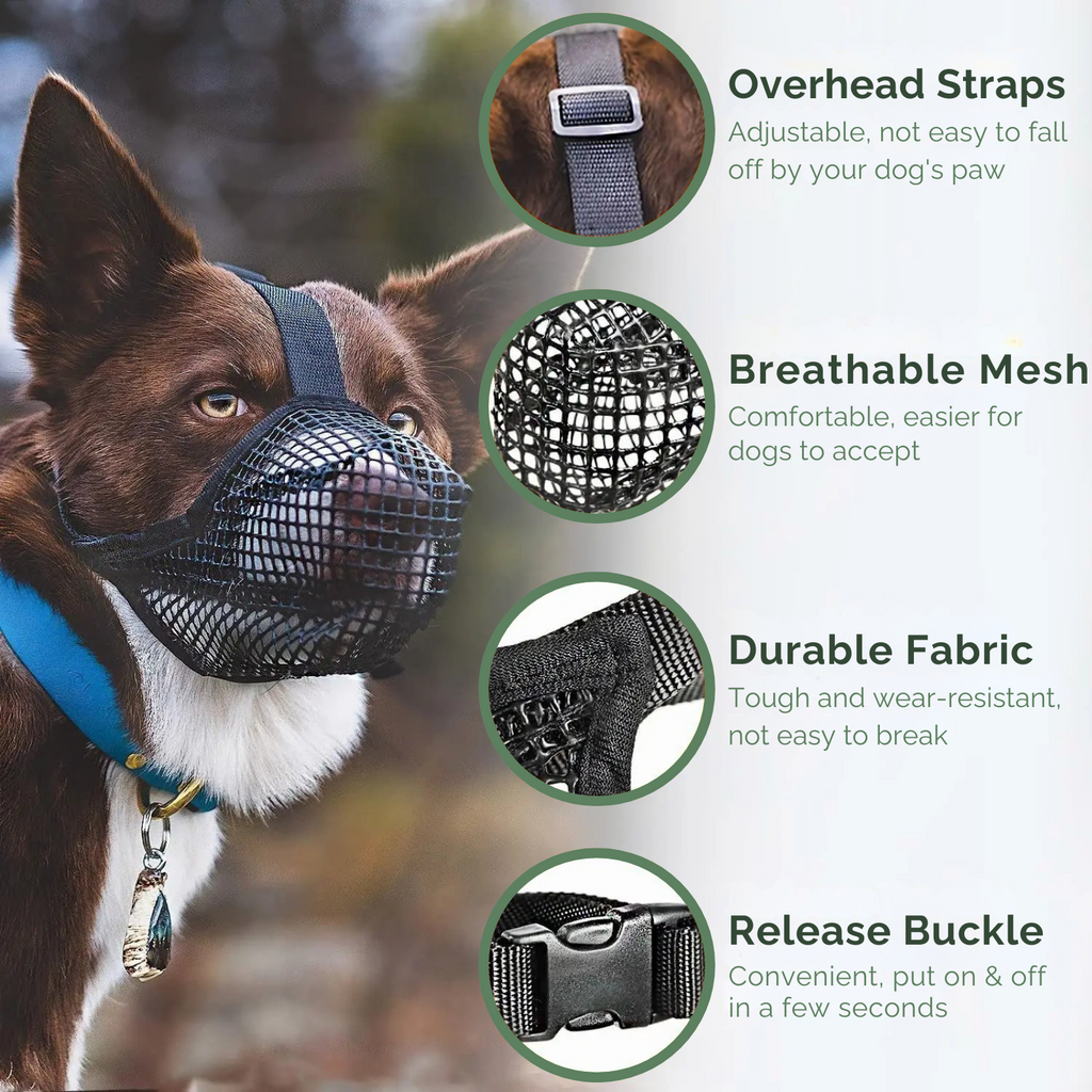 AirMesh Maulkorb – Weich sowie Bequem für Hunde
