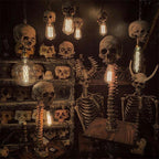 Schädel-Lampe mit Wirbelsäule – Mystisches und einzigartiges Interieurstück