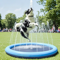 Hunde Wasser Spritzpad – Erfrischende Spielmatte inklusive Brunnen