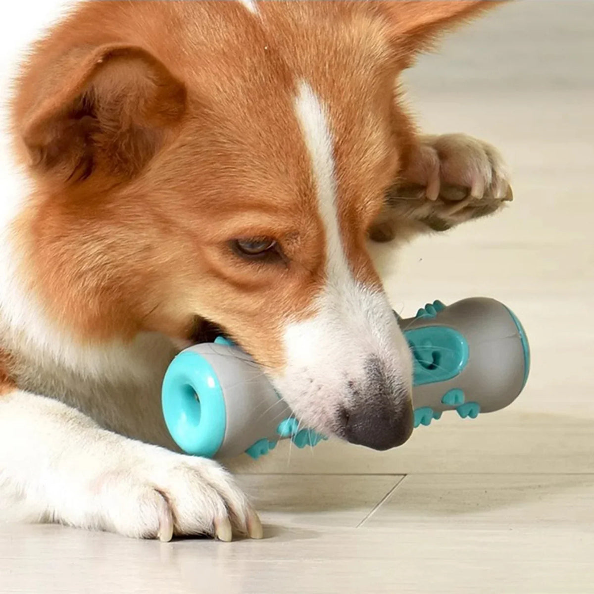 Zahnpflege Kauspielzeug für Hunde - Gesund sowie Spaßig