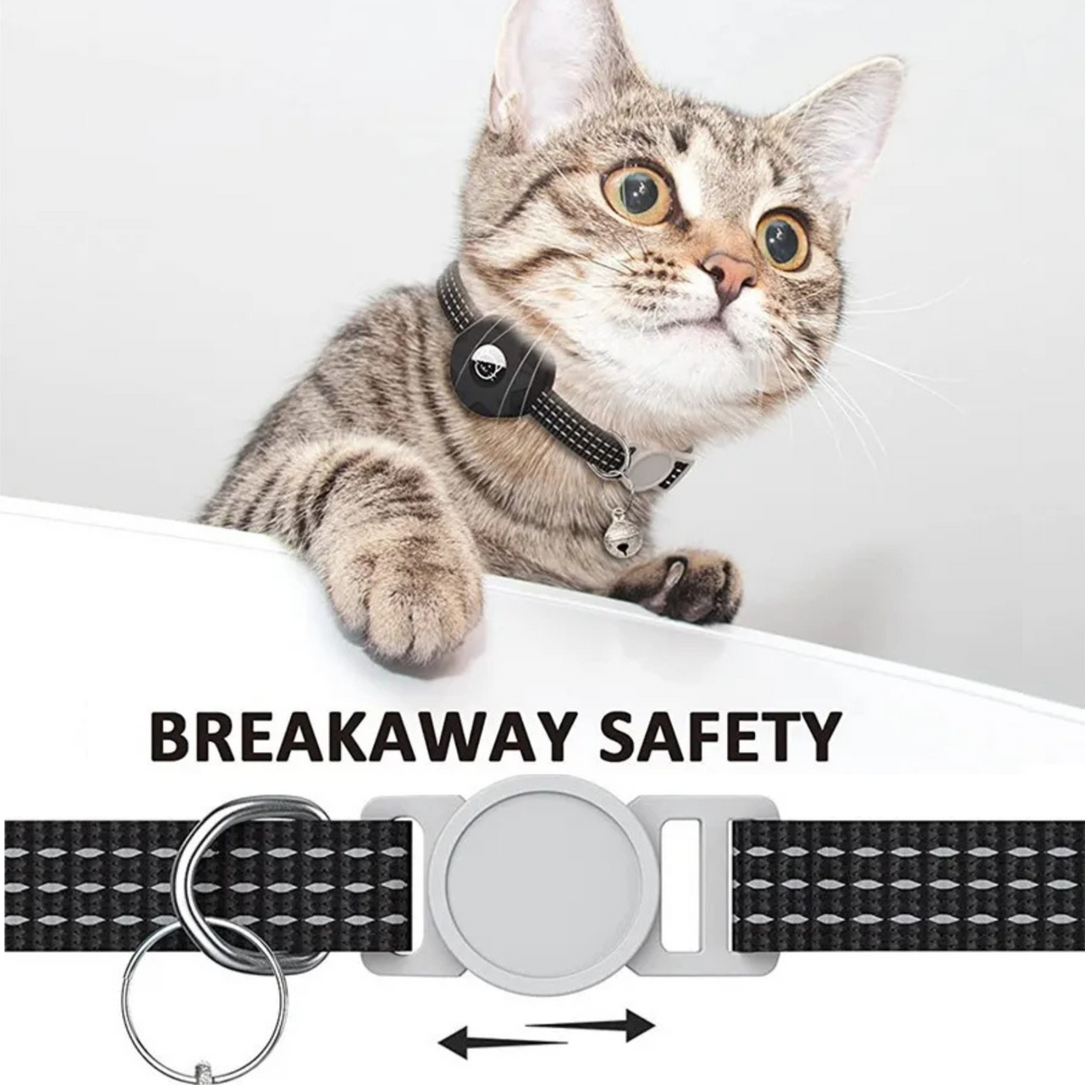 PawFind Smart Tracker – Android Halsband für Katzen sowie Hunde