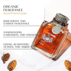 MagnetoForce Pheromon-Parfüm für Männer – Für mehr Anziehungskraft sowie Selbstvertrauen
