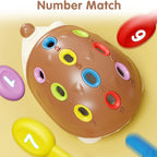 Niedlicher Igel Lernspielzeug – Lernen sowie Spielen