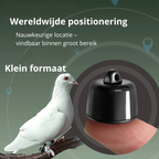PetTrace Mini Tracker – Bluetooth-Ortungsgerät für Katzen, Hunde sowie kleine Haustiere
