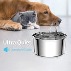 Edelstahl Trinkbrunnen für Katzen – Leise sowie Hygienisch Hydratationskomfort