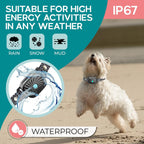 CalmPet Anti-Bell Halsband – Bequem und Stressfrei