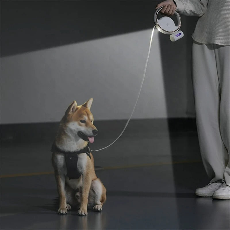 LED Automatische Hundeleine: Ergonomischer Griff & Sicherheitslicht