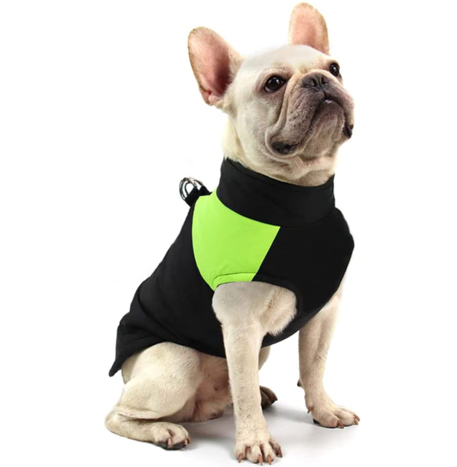 LunaPaws Hundejacke – Warm & Wasserdicht