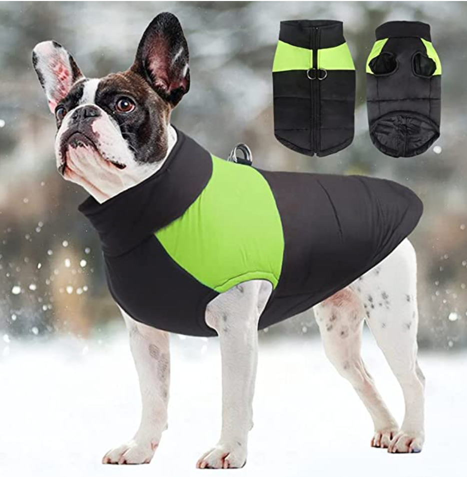 LunaPaws Hundejacke – Warm & Wasserdicht