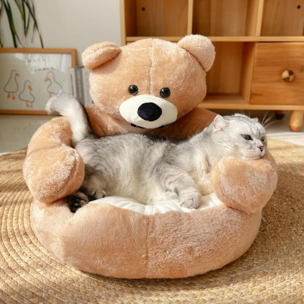 TeddyBear Katzenbett - Für Ultimativen Komfort sowie Gemütlichkeit