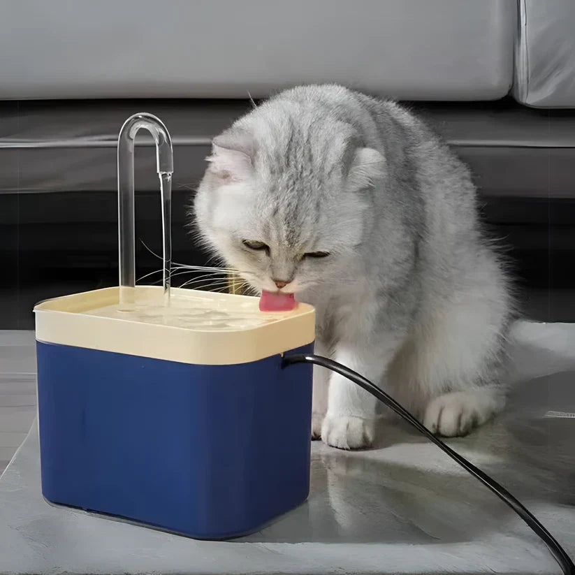 AquaPurr Wasserbrunnen – Ideal für gesunde Hydratation deines Katers