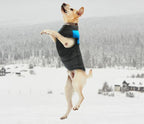 LunaPaws Hundejacke – Warm & Wasserdicht