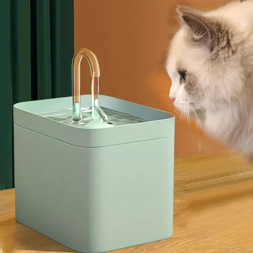 AquaPurr Wasserbrunnen – Ideal für gesunde Hydratation deines Katers