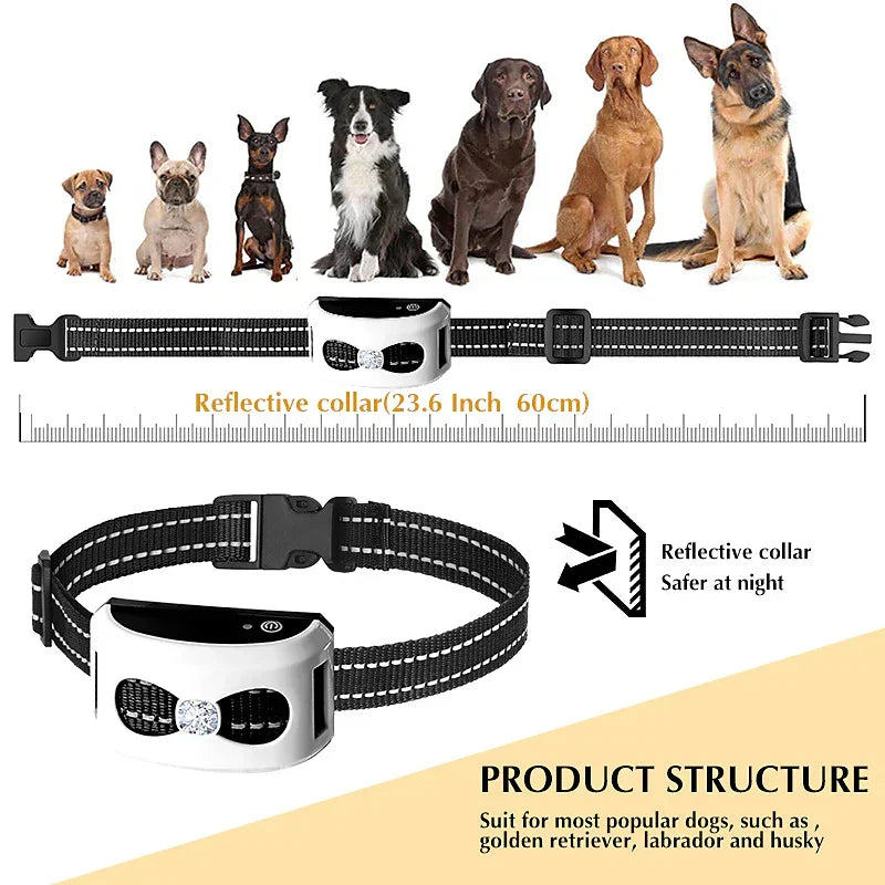 PawPal Drahtloses Hundehalsband – Freiheit sowie Sicherheit für deinen Hund