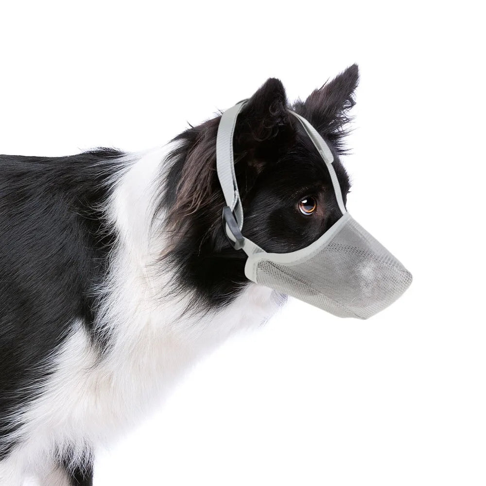 AirMesh Maulkorb – Weich sowie Bequem für Hunde