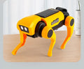 Bildungs-Solarenergie-Roboter – 2-in-1 Hund sowie Katze Baukasten