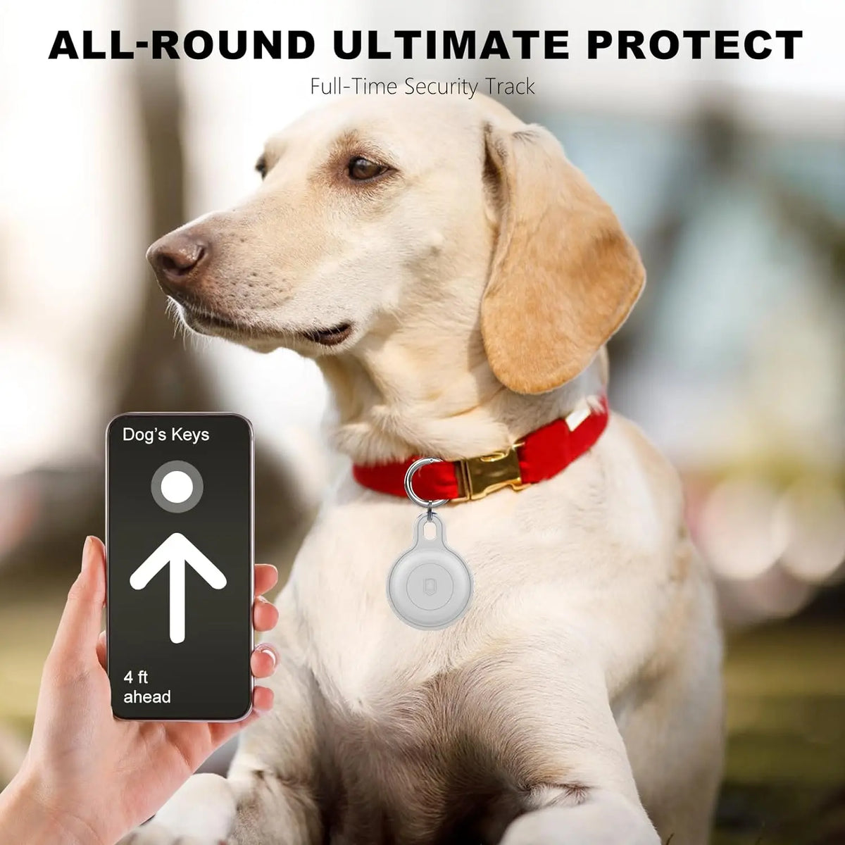 Ziggy Haustier-Tracker – Ideal für sorgenfreie Abenteuer