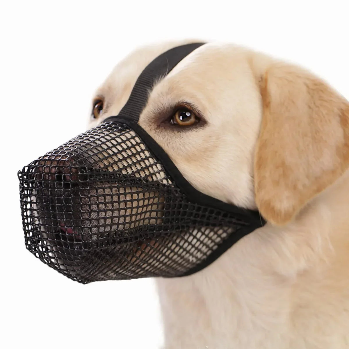 AirMesh Maulkorb – Weich sowie Bequem für Hunde