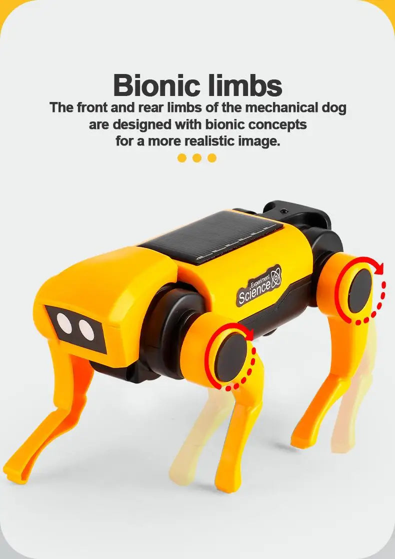 Bildungs-Solarenergie-Roboter – 2-in-1 Hund sowie Katze Baukasten