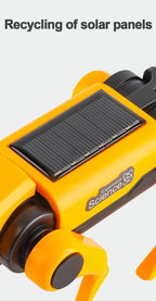 Bildungs-Solarenergie-Roboter – 2-in-1 Hund sowie Katze Baukasten