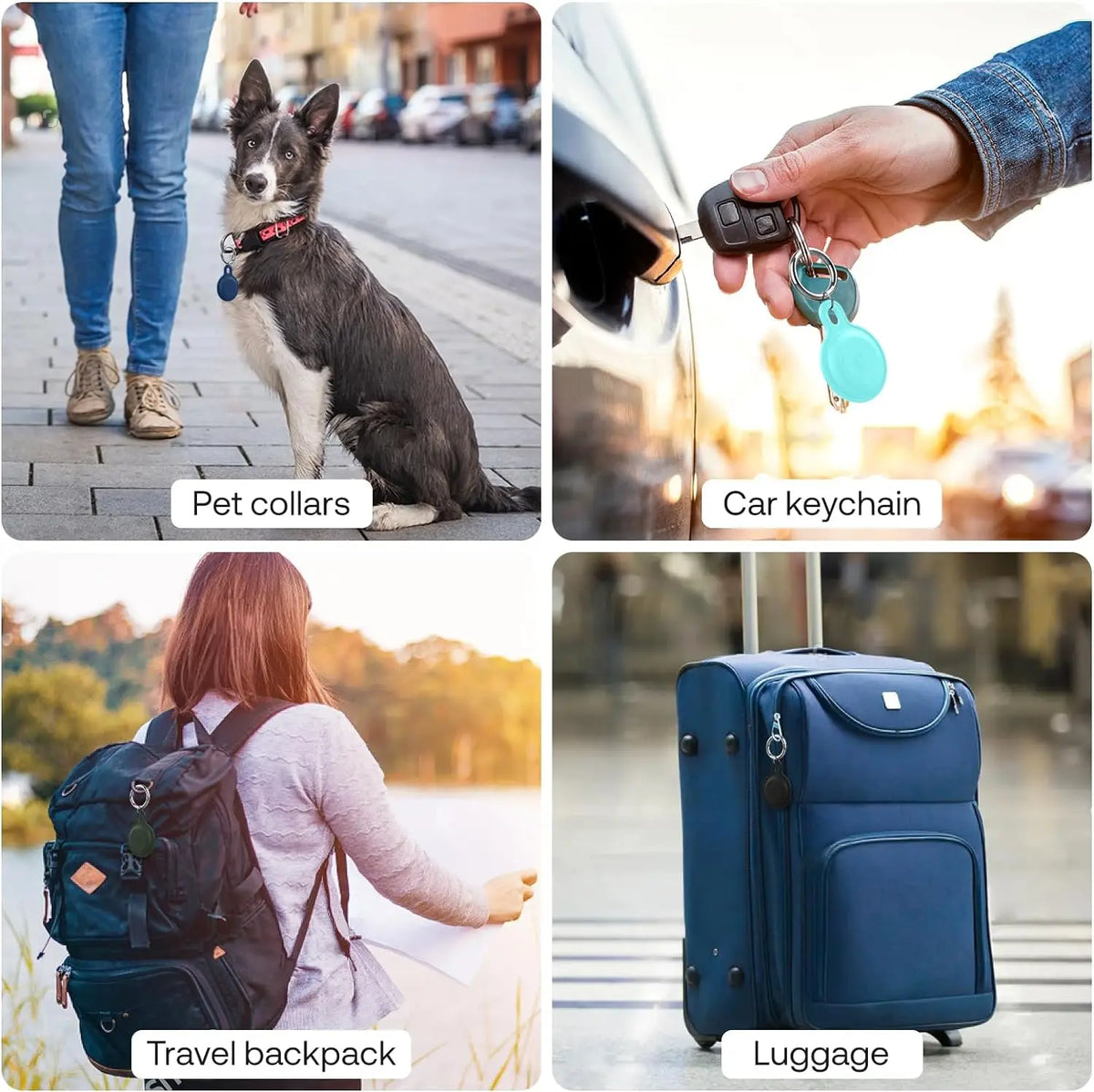Ziggy Haustier-Tracker – Ideal für sorgenfreie Abenteuer