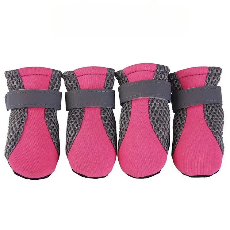 PawGuard Hundeschuhe: Komfortabler Schutz für jede Jahreszeit