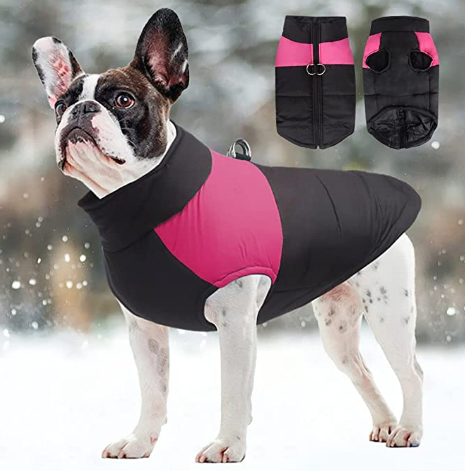 LunaPaws Hundejacke – Warm & Wasserdicht