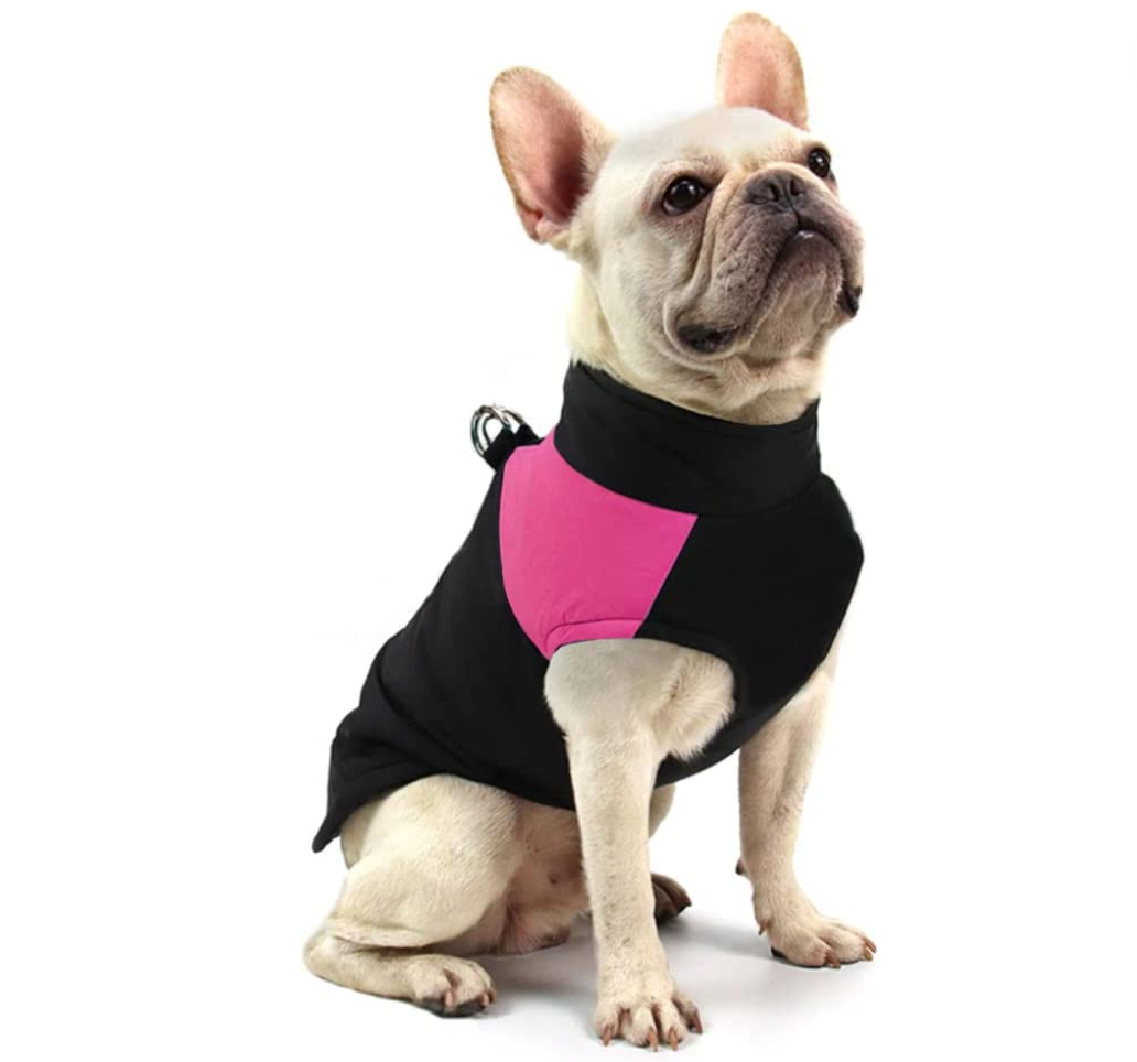 LunaPaws Hundejacke – Warm & Wasserdicht