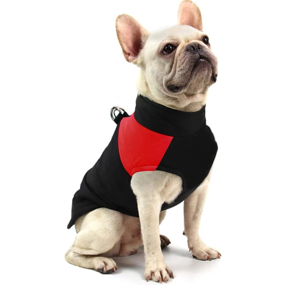 LunaPaws Hundejacke – Warm & Wasserdicht