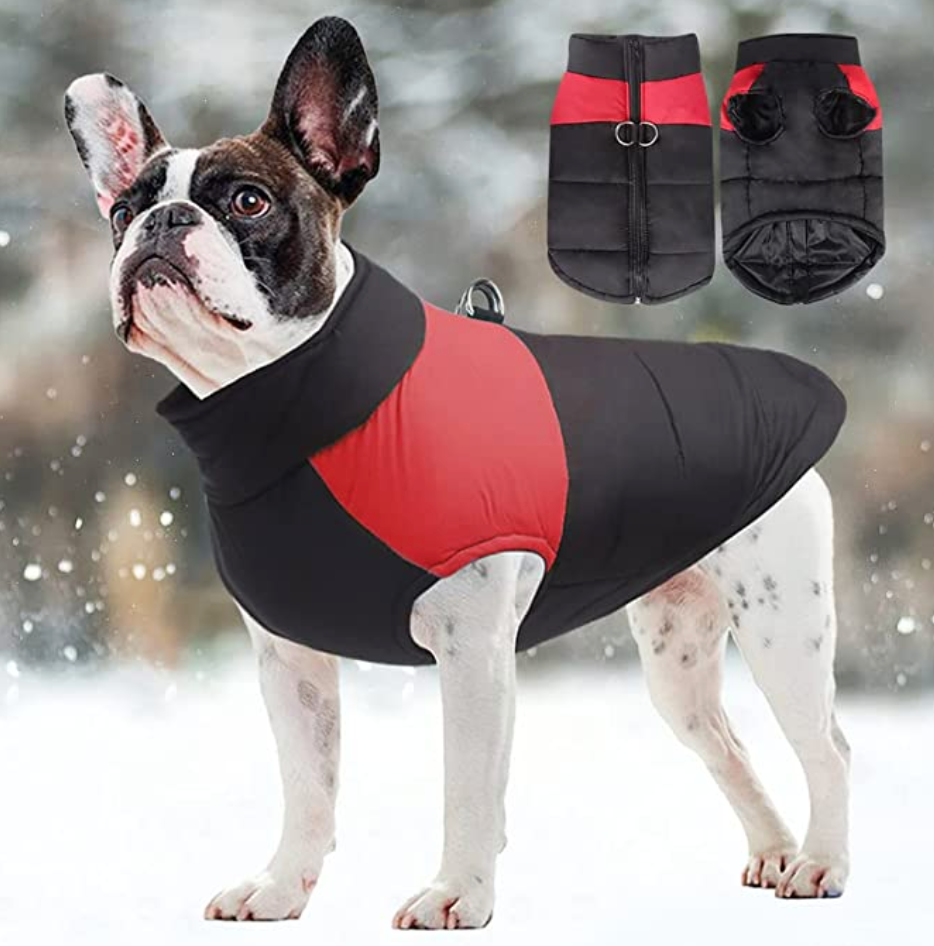LunaPaws Hundejacke – Warm & Wasserdicht