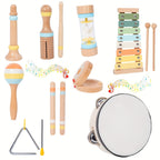 Pädagogisches Musikinstrumente-Set – Ideal für kreative Entwicklung