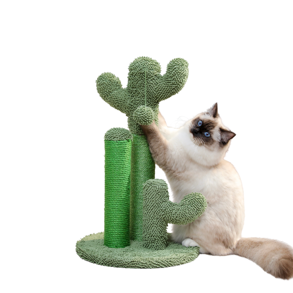 Turiza Katzenbaum Cactus - Zeitgemäß und Spielerisch