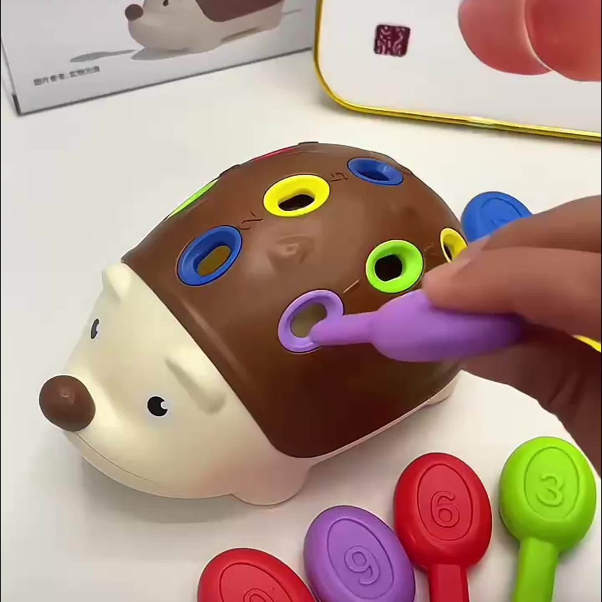 Niedlicher Igel Lernspielzeug – Lernen sowie Spielen