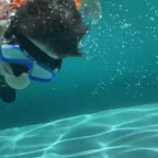 AquaClear Schnorchelset – Leckfrei, Bequem und Mit Großem Sichtfeld