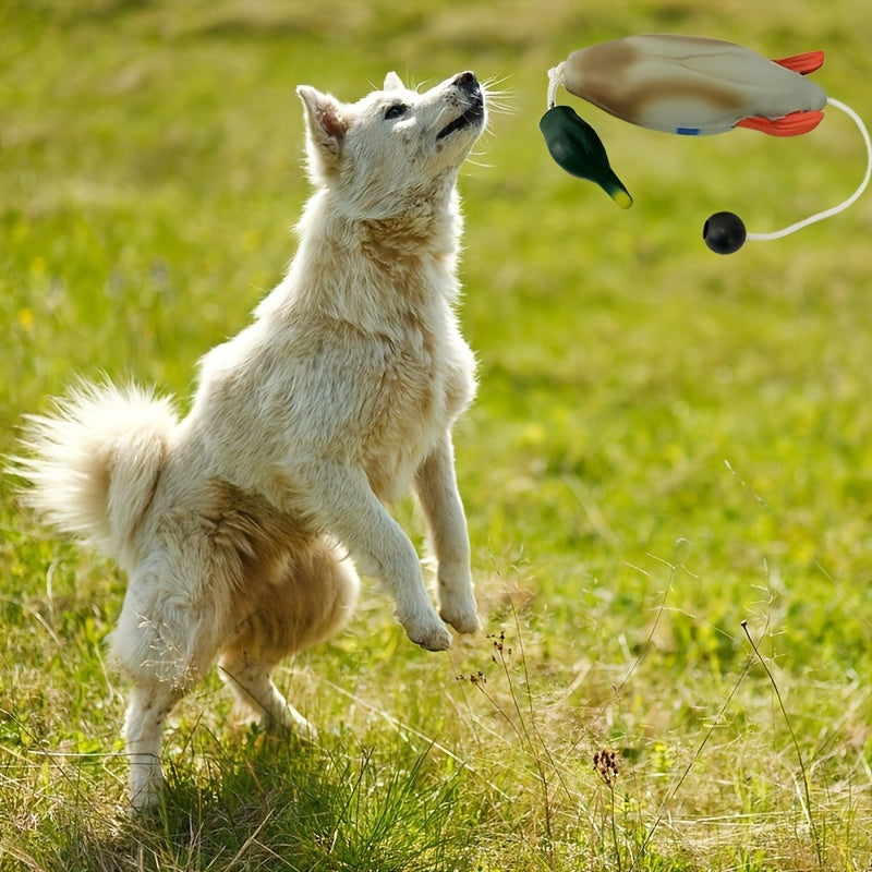 Mallard Retriever: Langlebiges Kunststoff-Enten-Bumper-Trainingsspielzeug