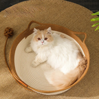 KatzenKnus Bett – Elegant & Bequem für dein geliebtes Haustier