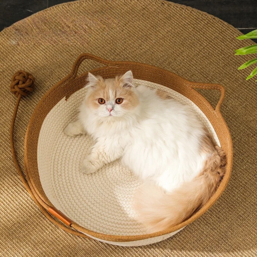 KatzenKnus Bett – Elegant & Bequem für dein geliebtes Haustier