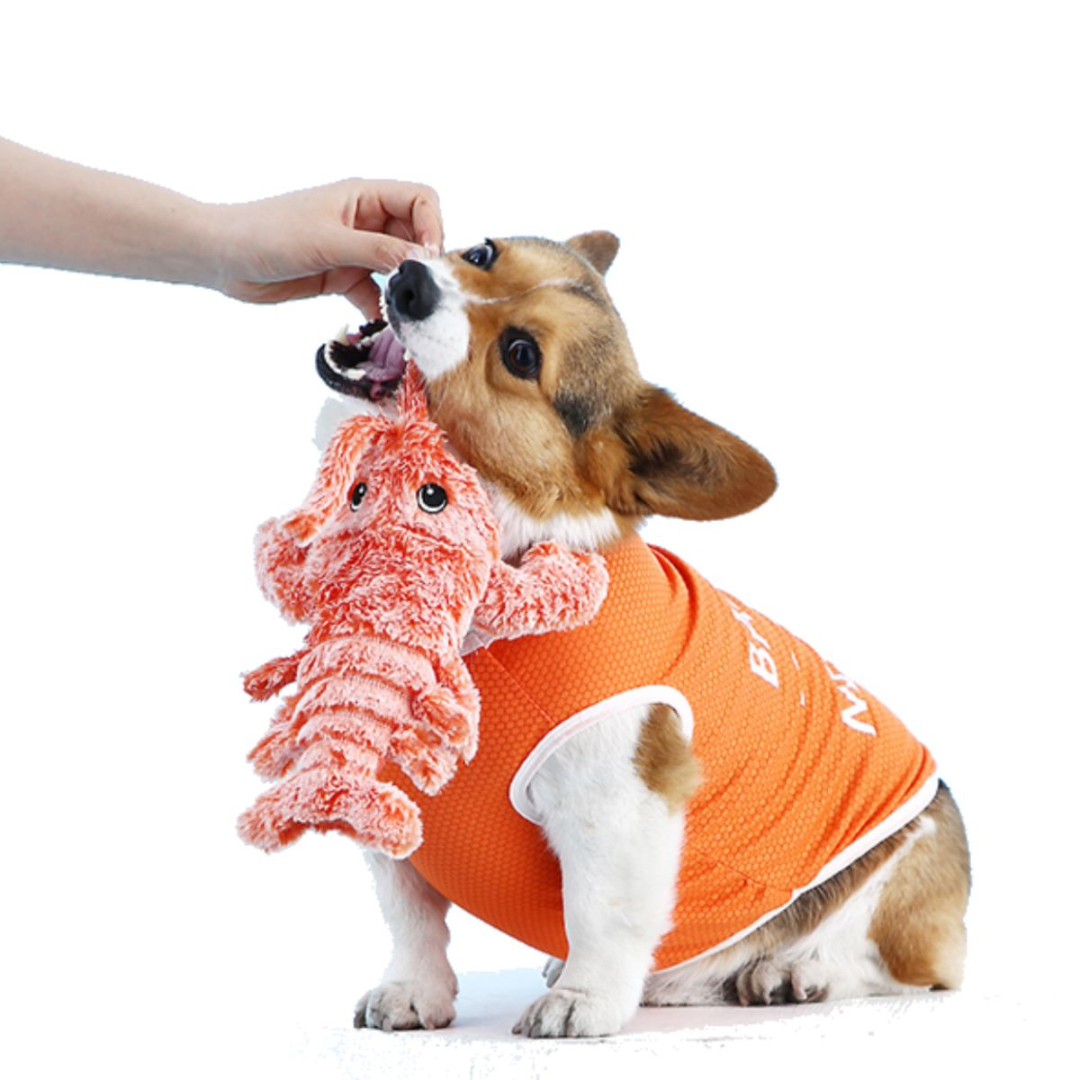 Tanzender Hummer – Interaktives Plüsch-Hundespielzeug inklusive Bewegungssensor