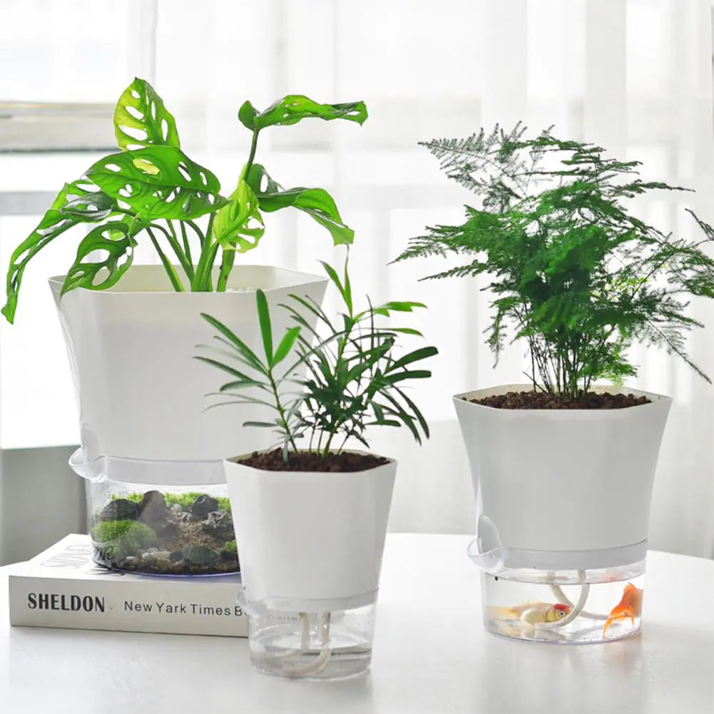 Selbstbewässernder Pflanzentopf – Stilvolle Kombination aus Pflanze sowie Mini-Aquarium