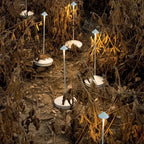 Wiederaufladbare kabellose LED-Lampe: Wasserdicht & Dimmbar