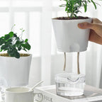 Selbstbewässernder Pflanzentopf – Stilvolle Kombination aus Pflanze sowie Mini-Aquarium