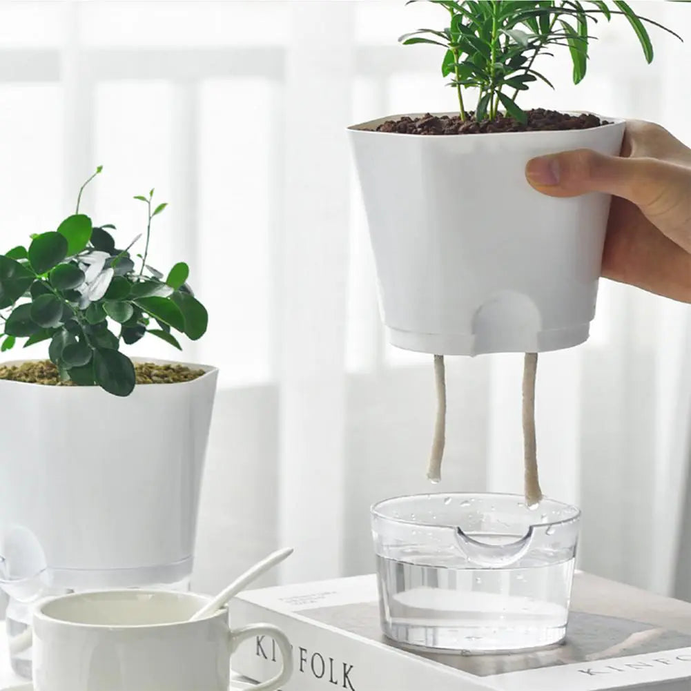 Selbstbewässernder Pflanzentopf – Stilvolle Kombination aus Pflanze sowie Mini-Aquarium