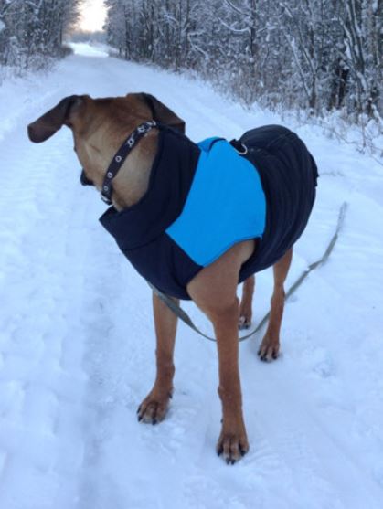 LunaPaws Hundejacke – Warm & Wasserdicht
