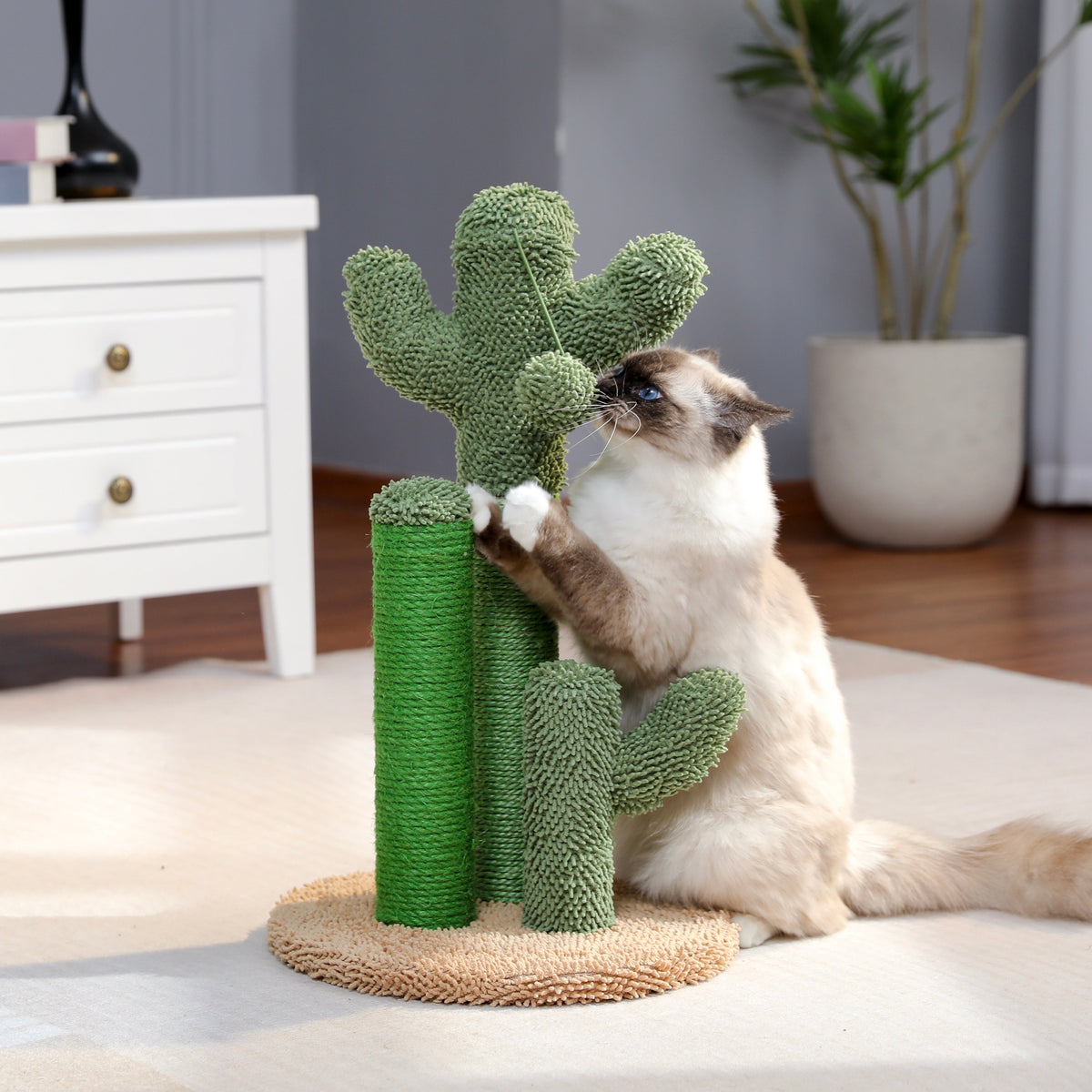 Turiza Katzenbaum Cactus - Zeitgemäß und Spielerisch