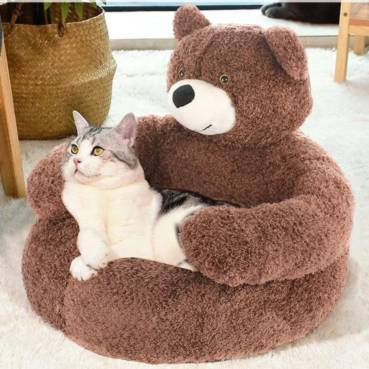 TeddyBear Katzenbett - Für Ultimativen Komfort sowie Gemütlichkeit