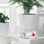 Selbstbewässernder Pflanzentopf – Stilvolle Kombination aus Pflanze sowie Mini-Aquarium