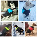 LunaPaws Hundejacke – Warm & Wasserdicht