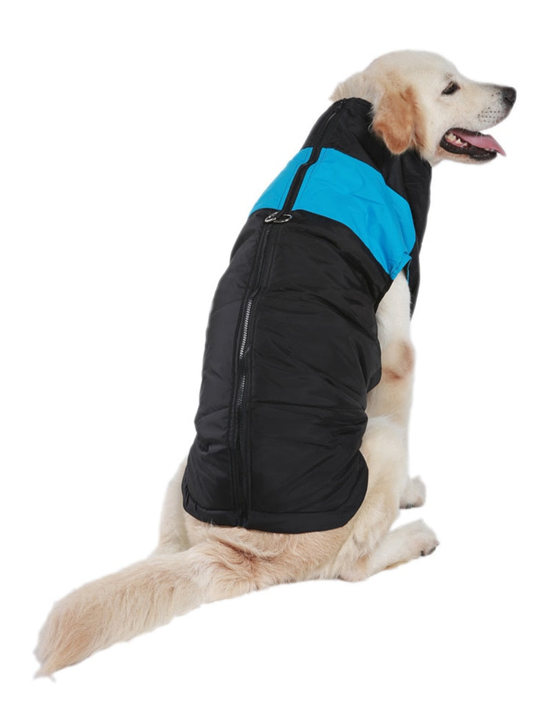LunaPaws Hundejacke – Warm & Wasserdicht